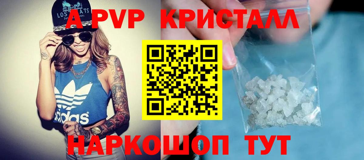 A PVP СК Новосибирск