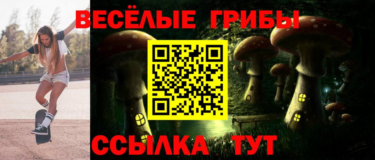 Новосибирск  Галлюциногенные грибы Psilocybe  Вход с VPN  Галлюциногенные грибы ЛСД 