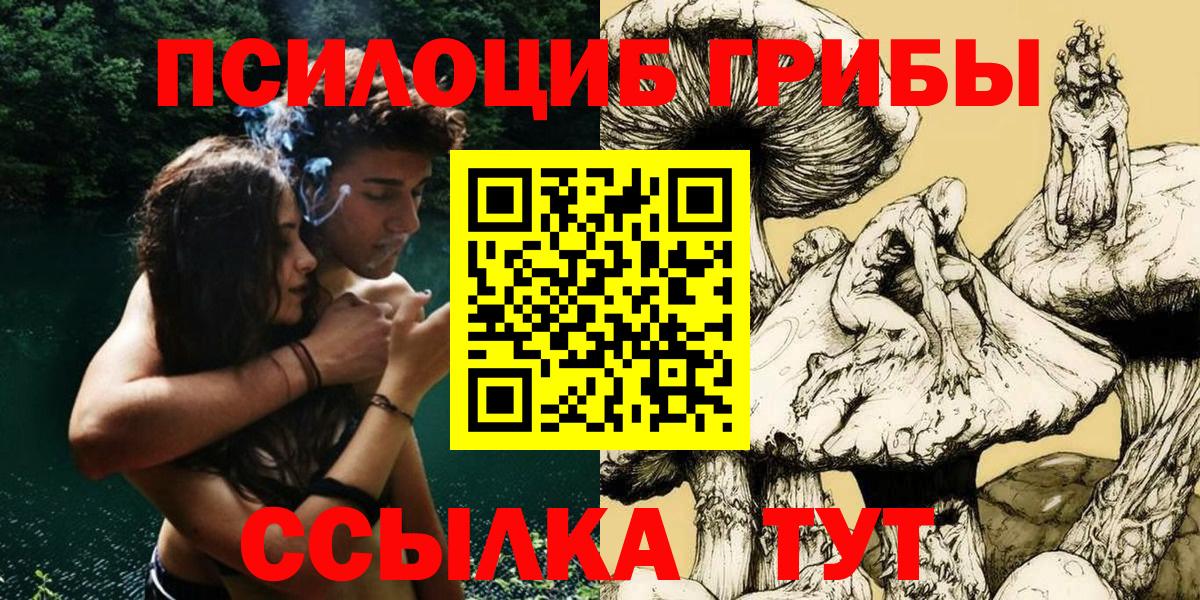 Псилоцибиновые грибы GOLDEN TEACHER Новосибирск